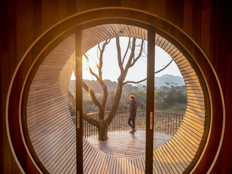  Seed Cabin Pods Welcome You to the Forest Of China 