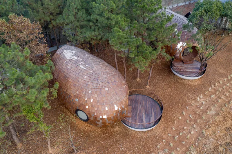  Seed Cabin Pods Welcome You to the Forest Of China 