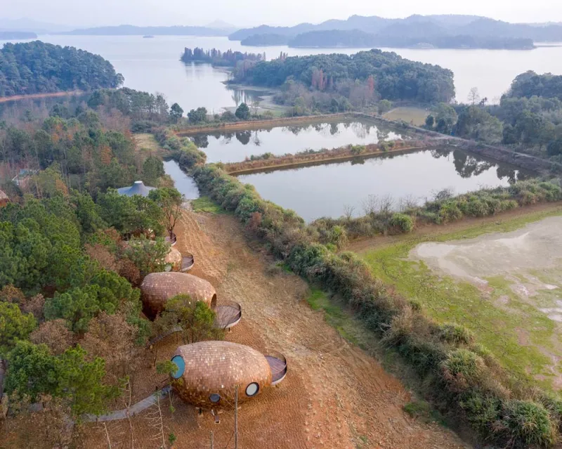  Seed Cabin Pods Welcome You to the Forest Of China 