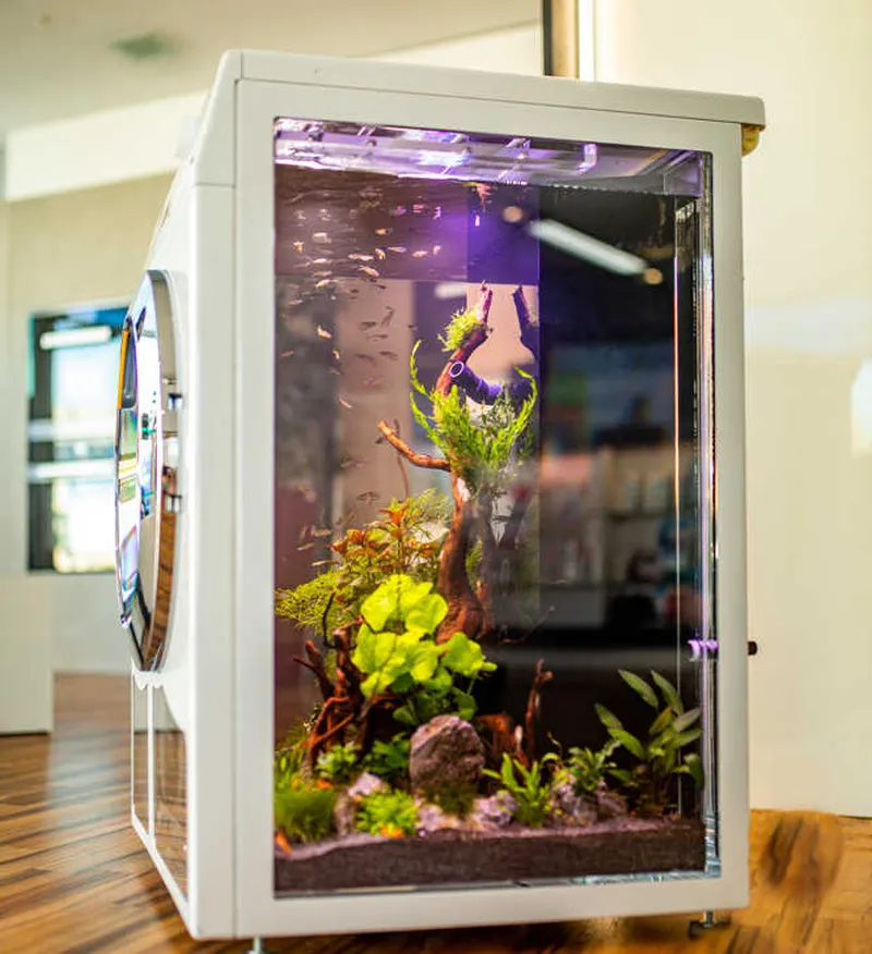 New Wave Aquarium Comes With Lighting and Filtration System Inside a Washing Machine 