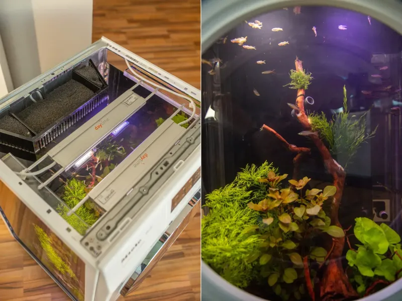 New Wave Aquarium Comes With Lighting and Filtration System Inside a Washing Machine 