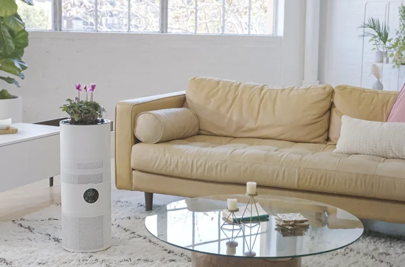 Aria Air Purifier 