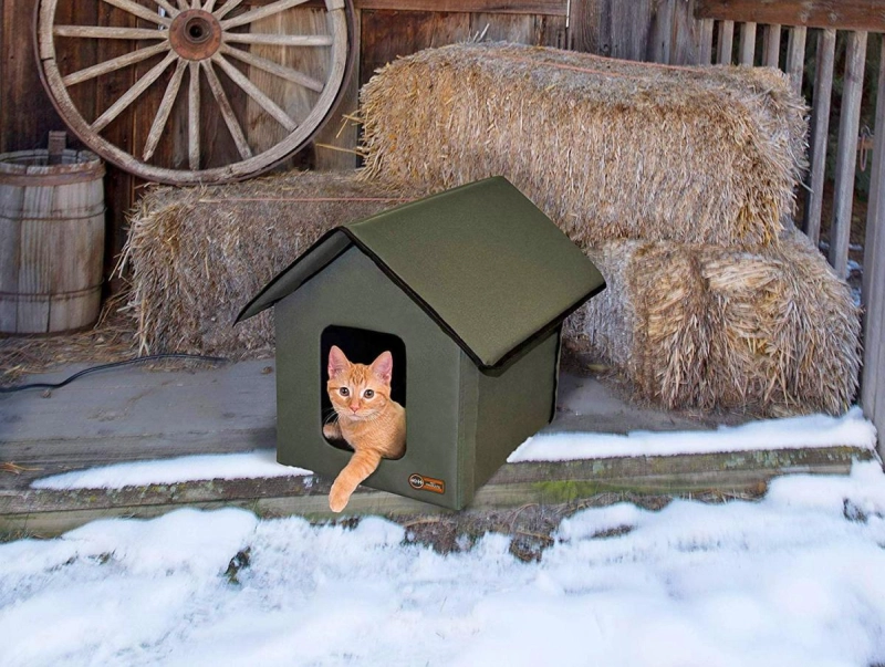 This Heated Cat House is Water Resistant And Offers Shelter to Your Feline