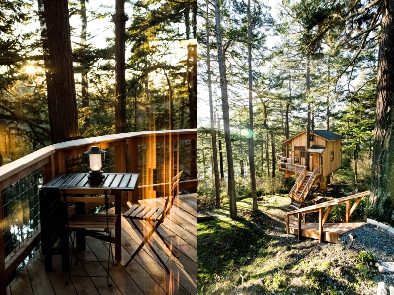 This Treehouse by Pete Nelson is a Paradise for Travel Junkies