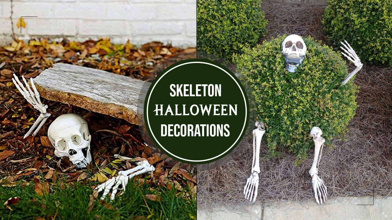 20 Most Hilarious Skeleton Displays For Halloween Homecrux