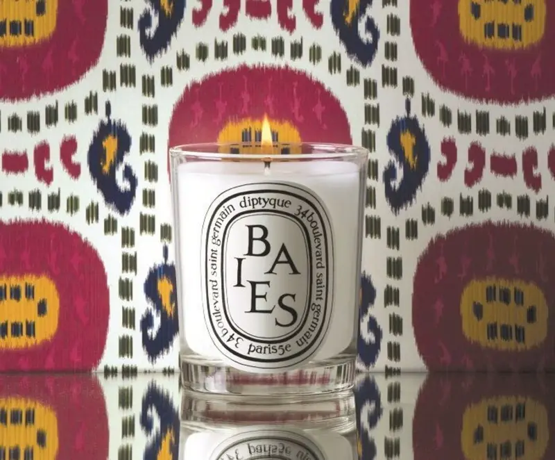 Diptyque Baies Candle