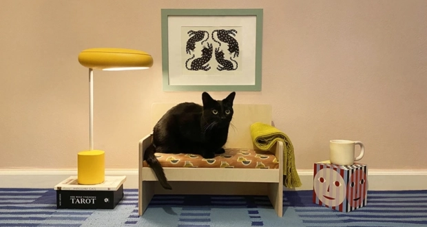 Cat Couch