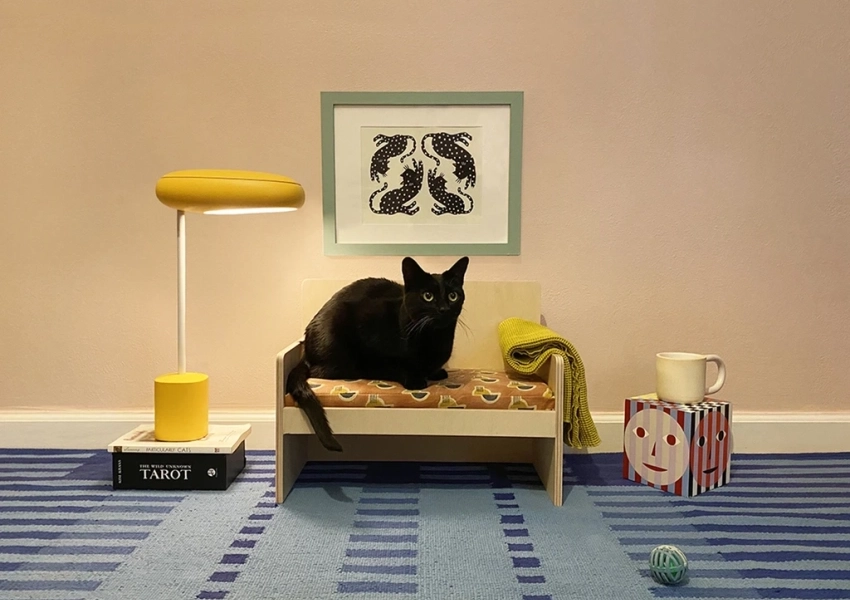 Cat Couch