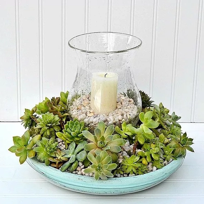 DIY Centerpiece with Succulents and Candles