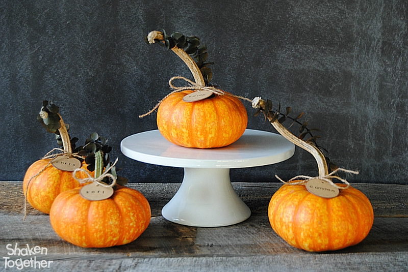 DIY Eucalyptus Pumpkin Place Card 