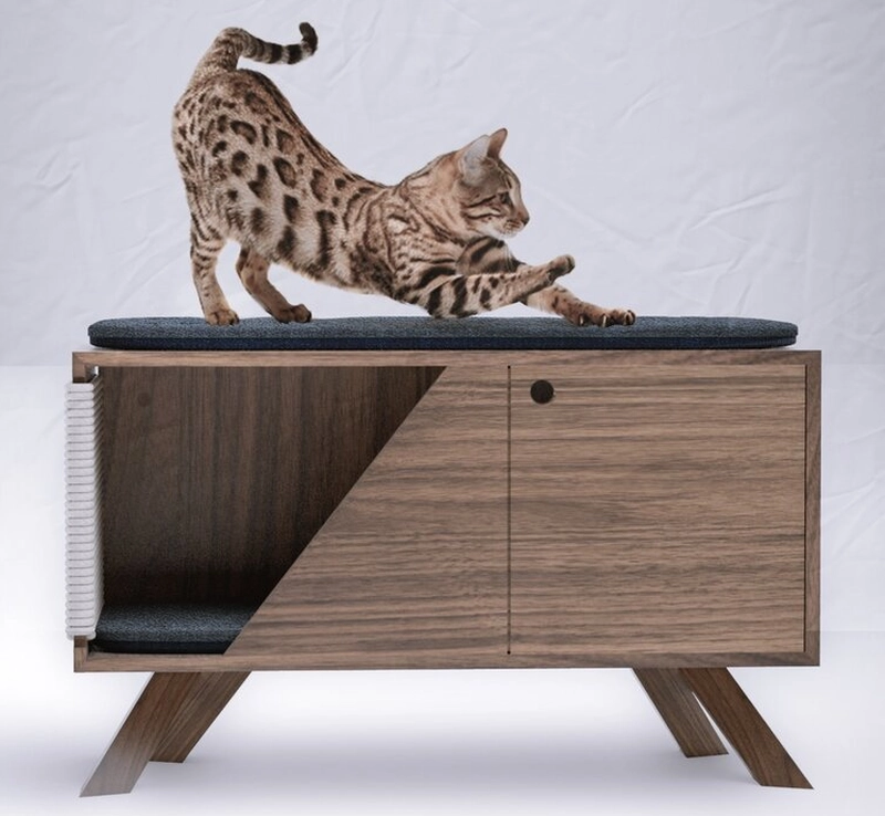 Banca Cat Furniture