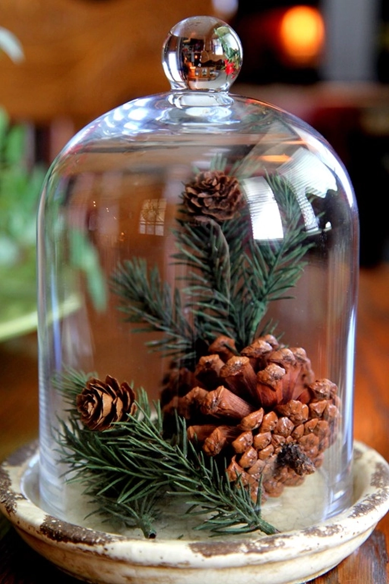  Simple pine cone display with cloche