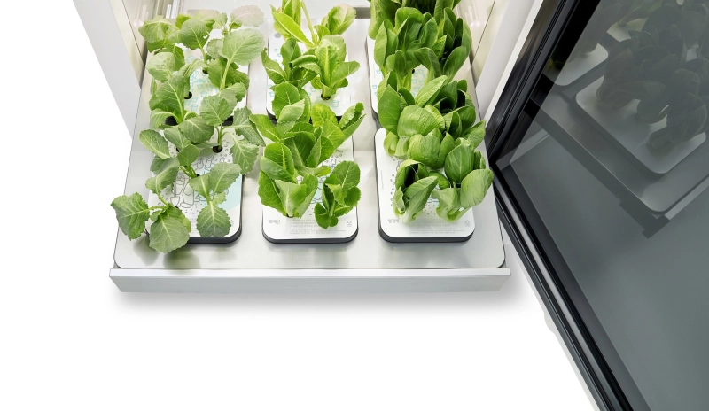 LG to Unveil New Smart Indoor Garden Concept at CES 2022