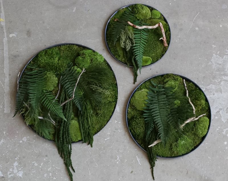 Preserved Moss and Fern Wall Art