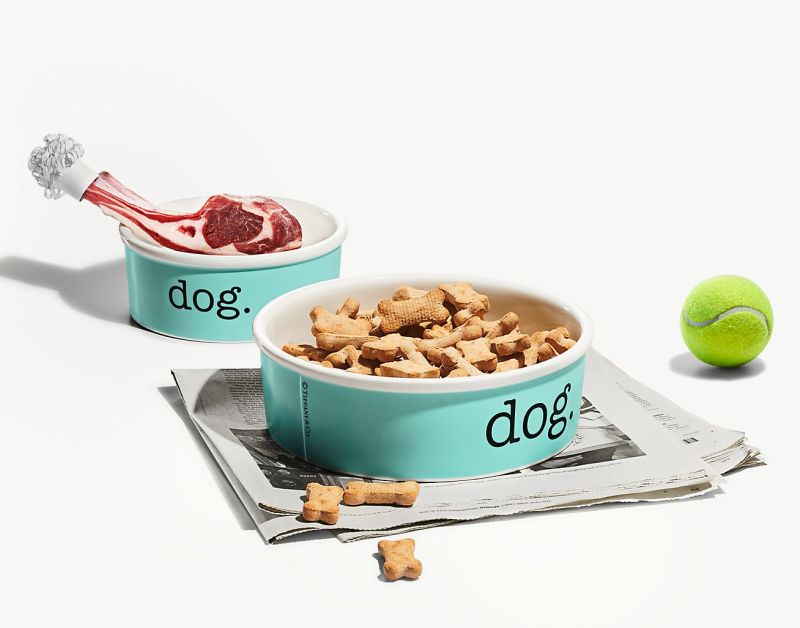 designer Dog bowl