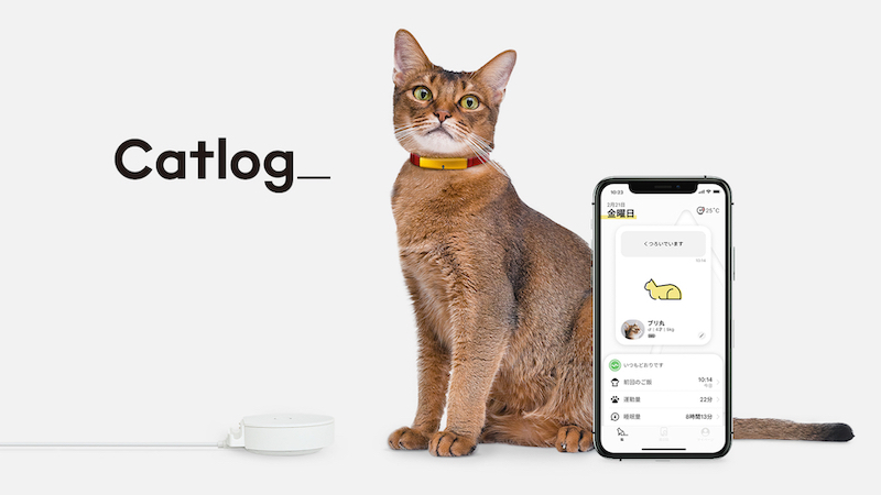 pet accessories at ces 2022