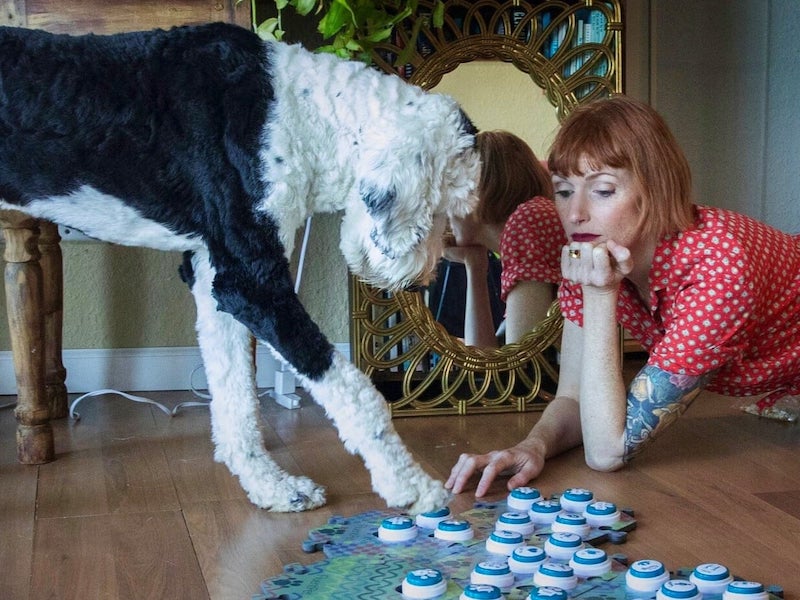 pet accessories at ces 2022