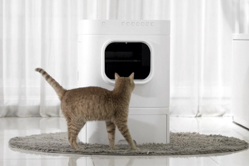 pet accessories at ces 2022