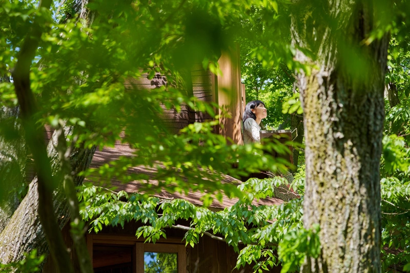 Tree Hut on Volcano: Treehouse in Japan is Minimal Escape from