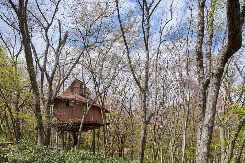 Tree Hut on Volcano: Treehouse in Japan is Minimal Escape from