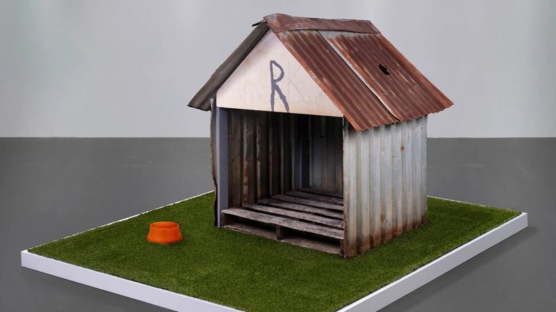 Dog House Hit by Meteorite For Auction_1