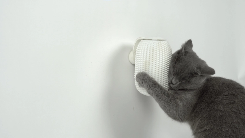 Groomatic: World’s First Automatic Cat Brush Launches on Kickstarter