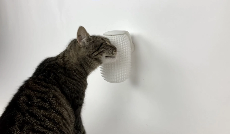 Groomatic: World’s First Automatic Cat Brush Launches on Kickstarter