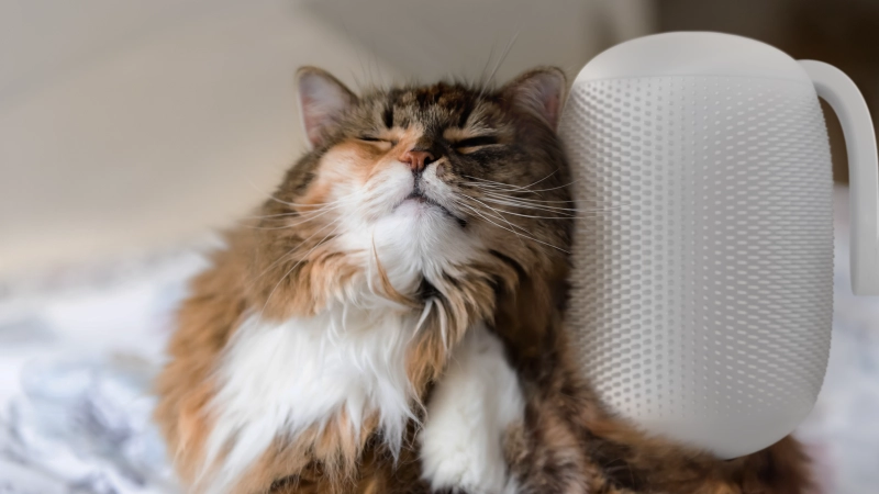 Groomatic: World’s First Automatic Cat Brush Launches on Kickstarter