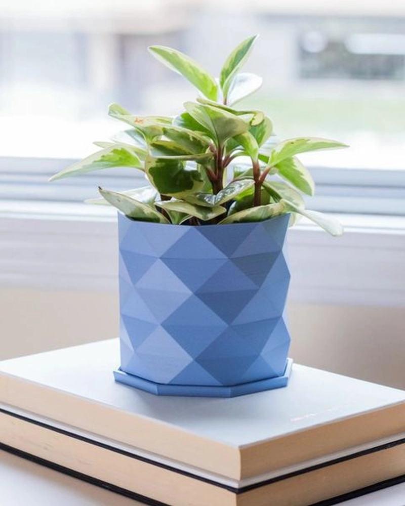 Ways to Add The Pantone Color of the Year 2022 in Your Home -planter