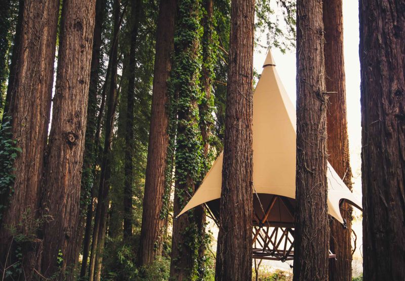 O2 Treehouse Treewalkers Tent hanging from trees