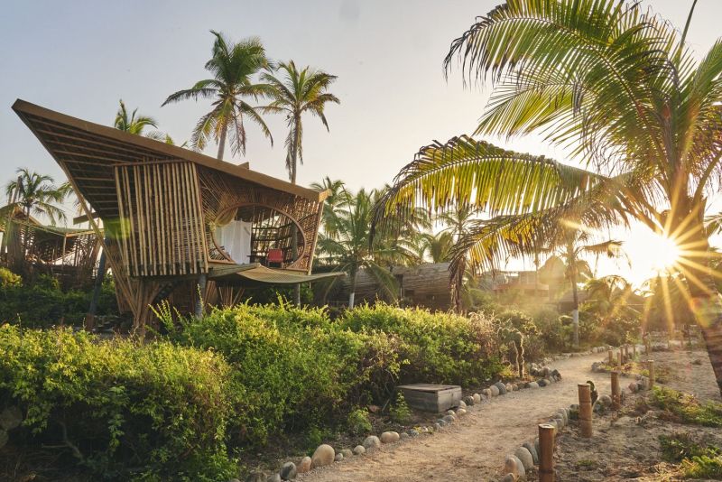 Playa Viva in Mexico Welcomes New Bamboo Treehouses