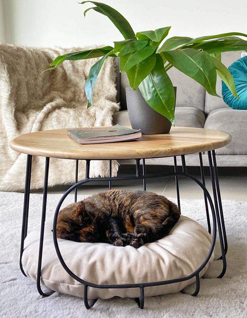 Coffee table with dog hotsell bed underneath