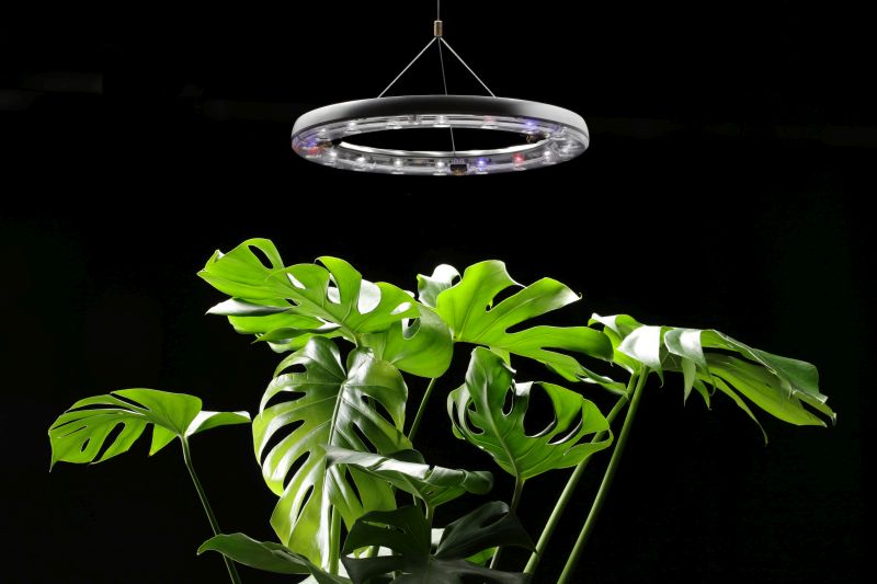 Altifarm Launches CURA Smart Grow Lights for Indoor Plants