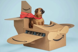 Amazon Pet Day Brings Awesome Deals for Your Furry Friends