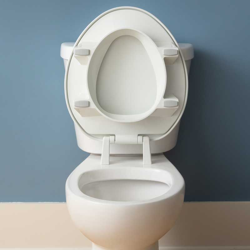 Clean Shield Toilet Seat is Elevated 3-Inches Higher Than Normal to Assist People with Disabilities