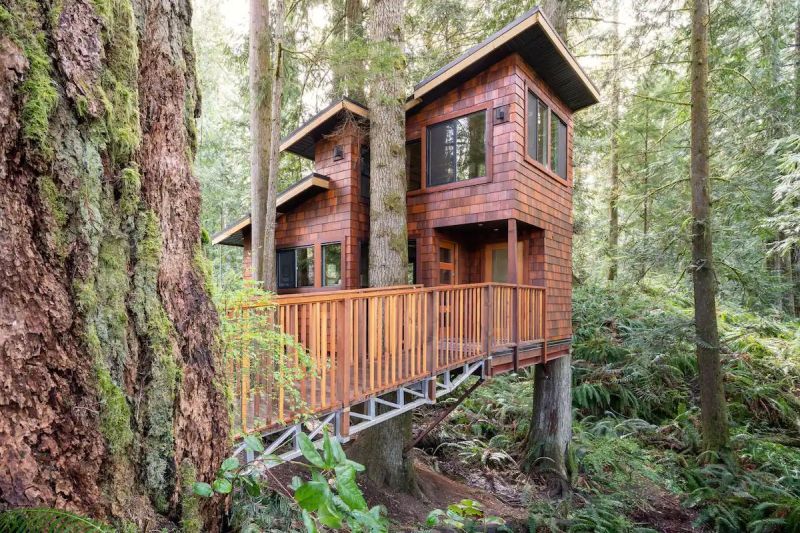 These are Most Wishlisted Treehouse Rentals on Airbnb in canada 