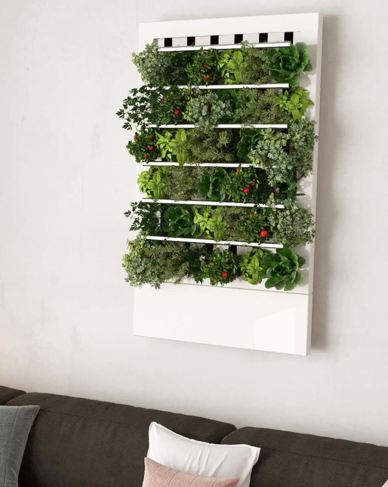 HydroArtPod is Fully Automated Living Wall that can Grow up to 30 Plants