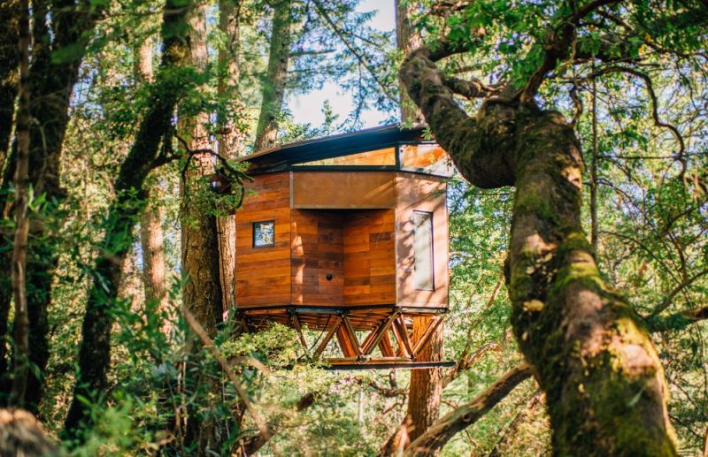 Madrone Grove Treehouse is Built on Tetratruss Modular Foundation to Minimize its Impact