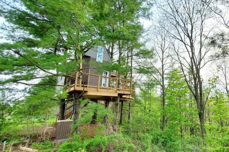 These are Most Wishlisted Treehouse Rentals on Airbnb in 2021