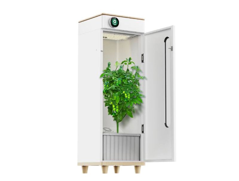 This Smart Hydroponic System Lets You Grow Veggies in Your Apartment