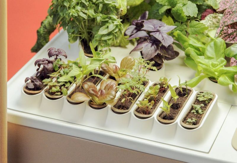 Multo Indoor Kitchen Farm by Pret a Pousser