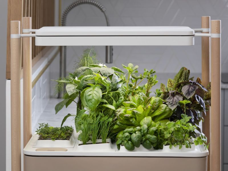 Multo Indoor Kitchen Farm by Pret a Pousser