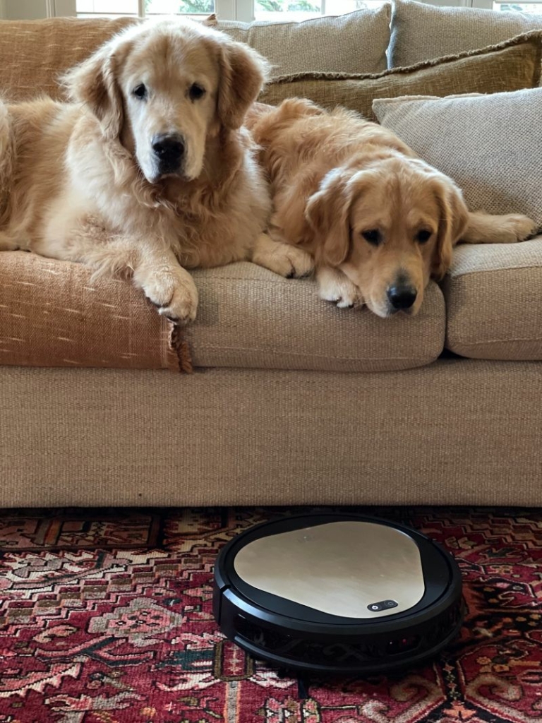 Trifo Ollie AIEnabled Robot Vacuum Cleaner Sweeps Pet Hair Clean