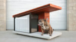 Best architectural dog houses