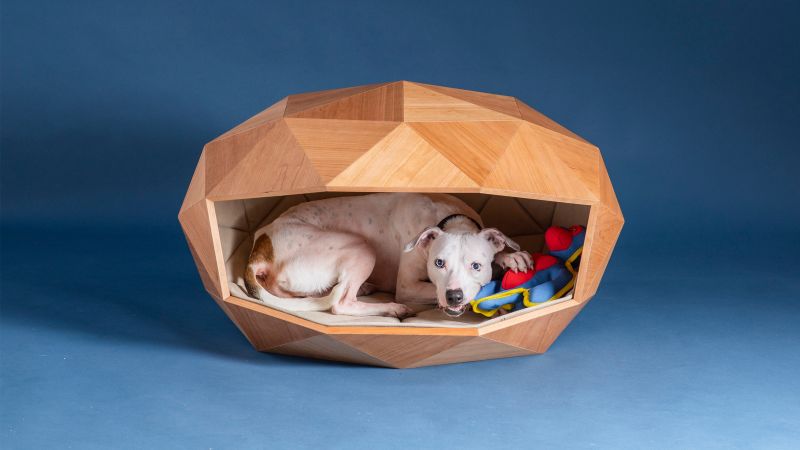 Dome-Home dog kennel by Foster & Partners new