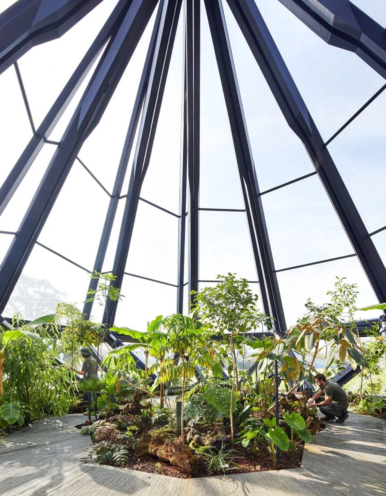 Glasshouse by Heatherwick Studio