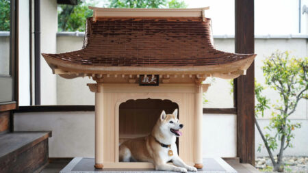 This Japanese-Style Doghouse Costs More Than an Airstream Trailer Japanese Styled Doghouse