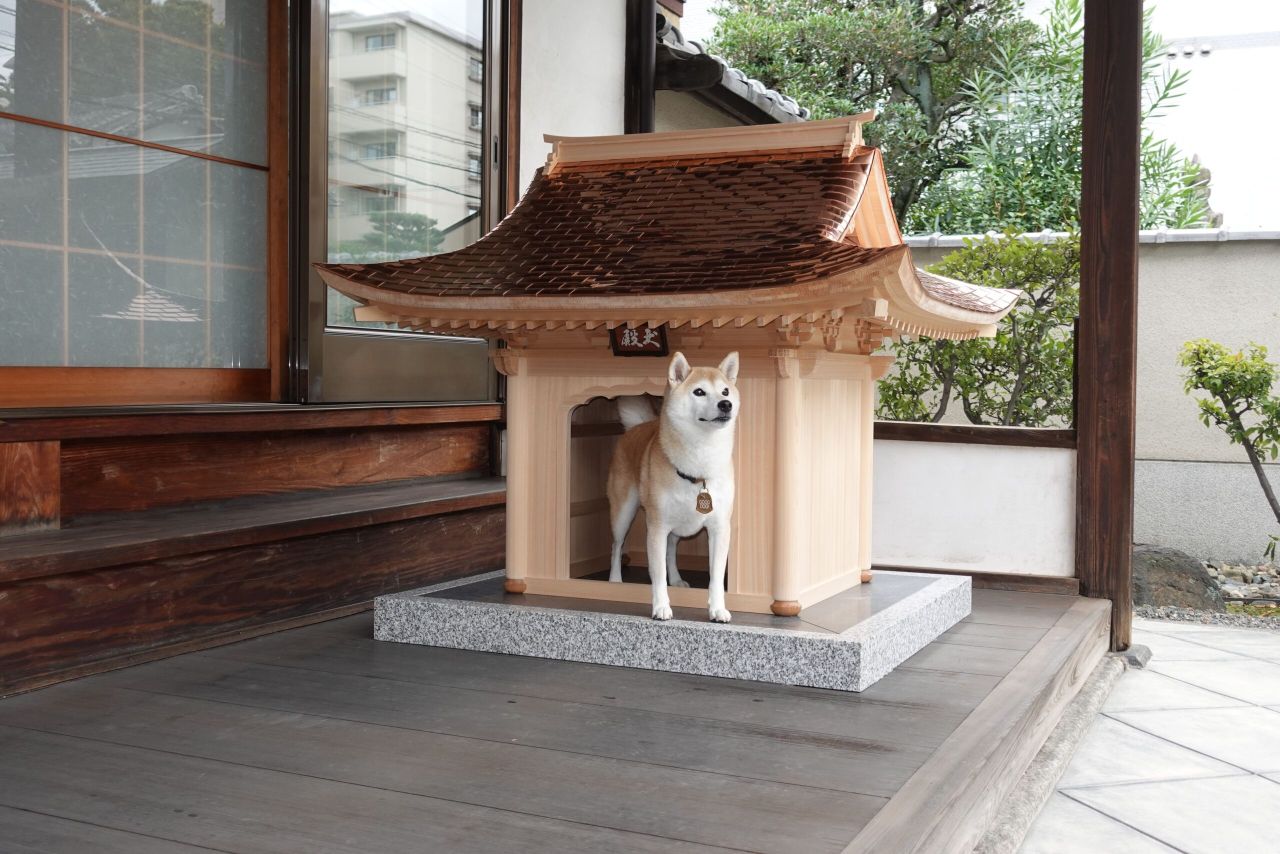 Japanese Styled Doghouse