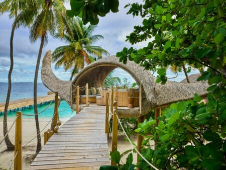 This Treehouse in Maldives Mimics the Shape of a Manta Ray