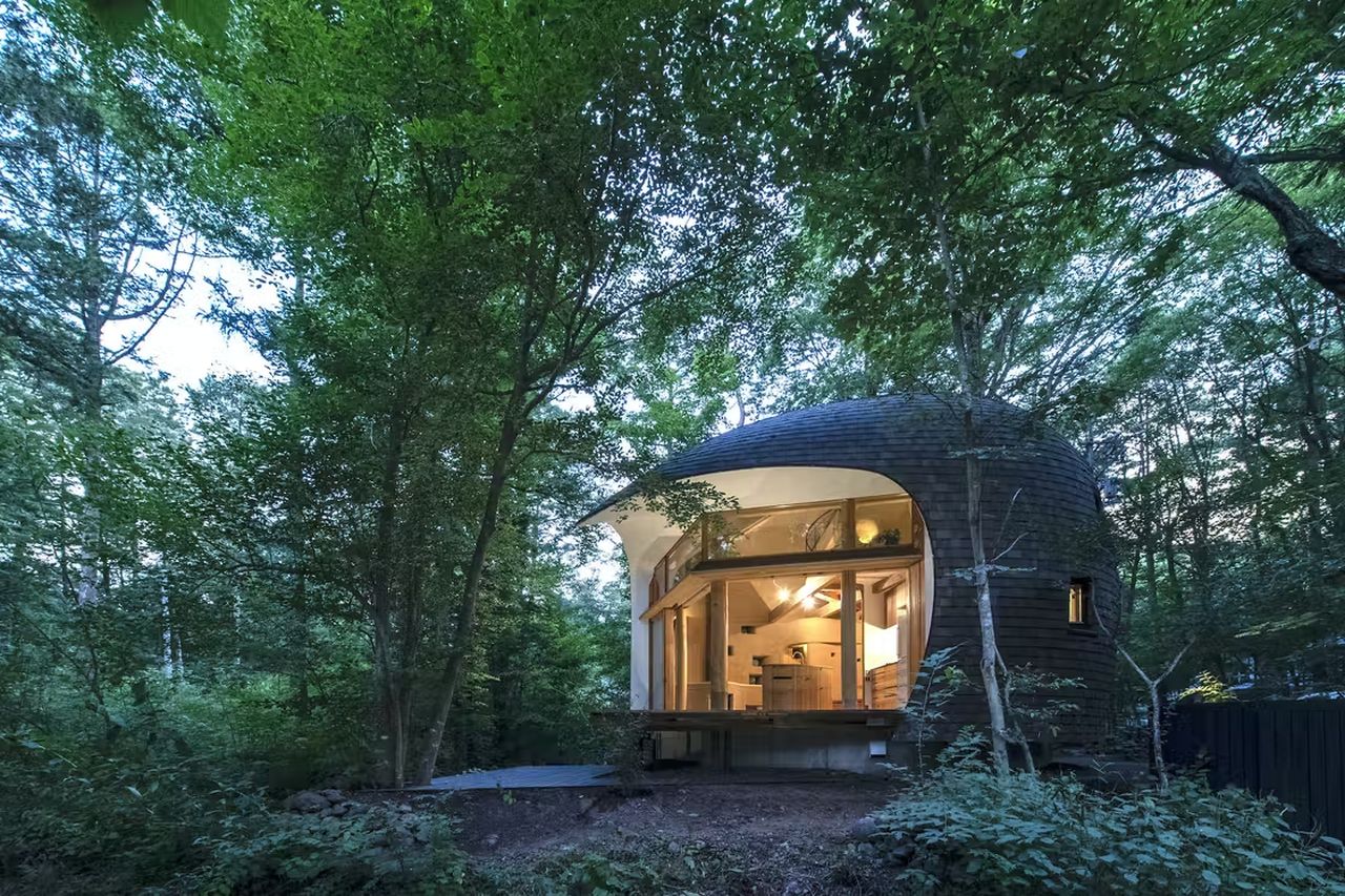 Shell House made with plastered Earth